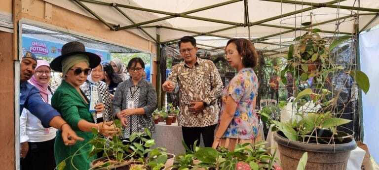 Festival Anggrek Vanda tricolor ke-6 1 Festival Anggrek Vanda tricolor ke-6