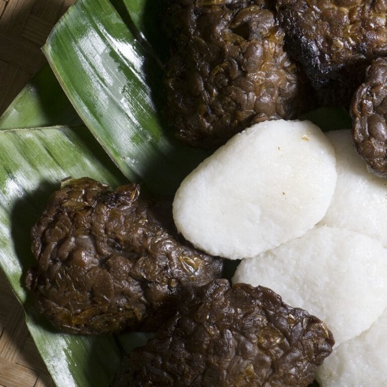 Jadah Tempe