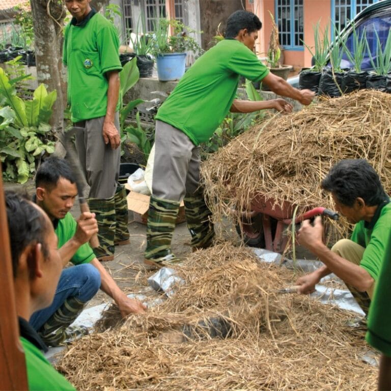 Konsentrat pakan ternak