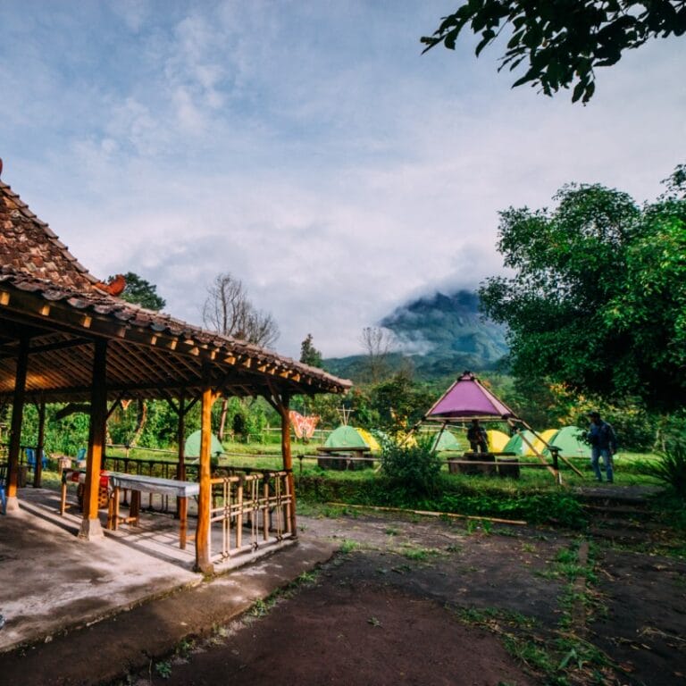 Wisata