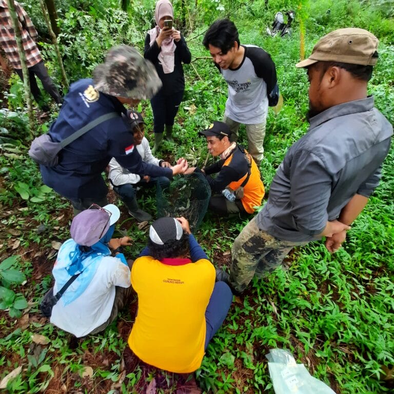 Menolak Kepunahan Sarangan