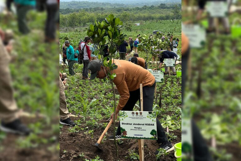 Penanaman Serentak Lingkup DIY, Sebuah Bukti Aksi untuk Lingkungan