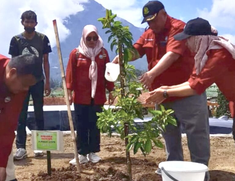 Balai Taman Nasional Gunung Merapi (BTNGM) sukseskan Penanaman Pohon Serentak