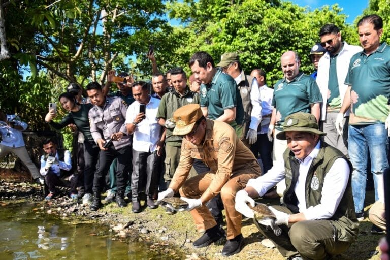 Menhut lepasliarkan 20 kura-kura Rote terlangka di dunia 1 Menhut lepasliarkan 20 kura-kura Rote terlangka di dunia